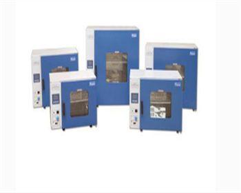 臺式電熱恒溫鼓風(fēng)干燥箱DHG-9000